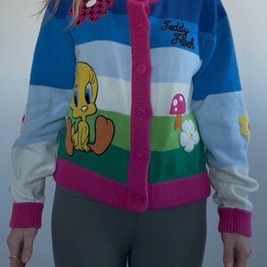 Teddy Fresh Blue and Pink Looney Toons Sweater